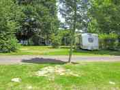 Pitches on site