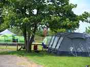 Spacious grass pitches