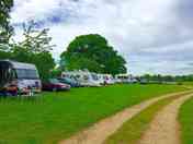 Sheltered pitches by the treeline