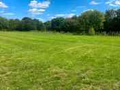 Grass pitches