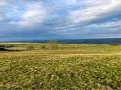 View from the site