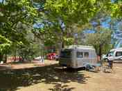 Camping area