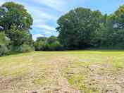 Grassy pitches