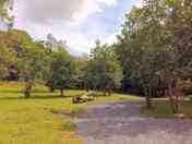 Walk into the hills directly from site
