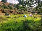 Tents in the field