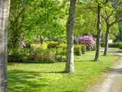 Landscaped camping pitches under the shade of trees