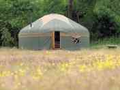 Lovely setting for the yurts
