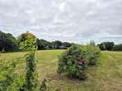 Pitches are not allocated so guests can choose where they would like to set up!