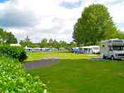 Sunny and shaded pitches