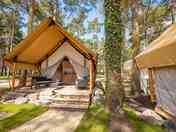 Papendaal safari tents