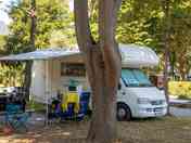Pitches under the cool of the trees