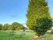 Visitor image of the quiet and peaceful site