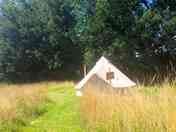 Bell tent in the meadow