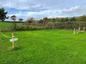 Electric grass pitch