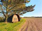 Camping pod