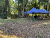 Pitches shaded by trees