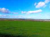 Spacious camping field