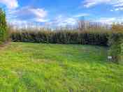 Spacious marked-out pitches