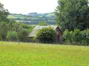 A view from the wildflower meadow
