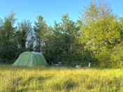 Tent in meadow at Prime Farm