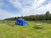 Huge field pitches with electric hookup and fresh water to each pitch