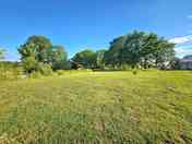 Grass pitch