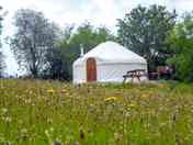 Bryn Helyg yurt exterior (added by manager 12 Dec 2023)
