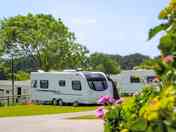Camping Pitches