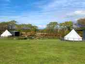 Bell tents on decking