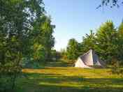 Pitch on the camping field