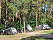 Grass pitches in the wood