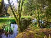 The pond pitch
