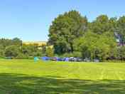 Grass pitches