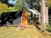 Pod in the woods