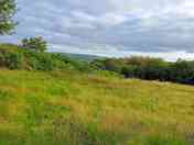 Camping field