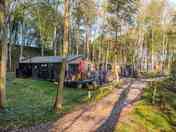 Lodges shaded by trees