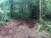 A beautiful tree lined secluded space!