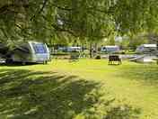 Sunny and shaded pitches