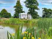 Pitches overlooking the fishing pond