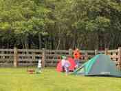 Tent pitches