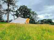 The Pines bell tent