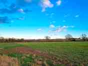 The view from the back of the site