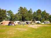 Grass pitches