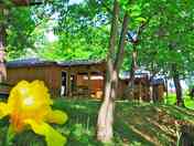 Lodges under the shade of trees (added by manager 03 Feb 2016)