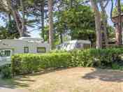 Grass pitches among the trees