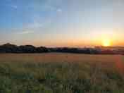 Spacious camping fields
