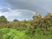 Double rainbow