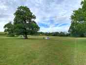 Spacious pitches