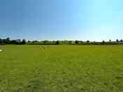Grass pitches