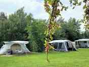 Camping pitch with private sanitary facilities (added by manager 15 Jan 2024)